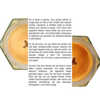 Pyrrha's - Nostalgie de la Crème brulée