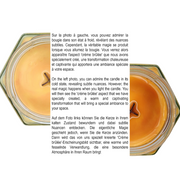 Pyrrha's - Nostalgie de la Crème brulée - Fin de série