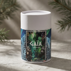 Sylve Boréale – Cœur de Pin et Lumière Céleste