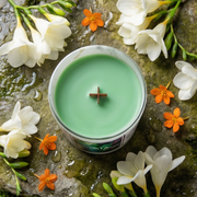 Écume d’Émeraude - Éclat de Fleur et Subtilité de Fraîcheur