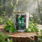 Frisson Botanique - Fraîcheur de Menthe et Basilic envoûtant