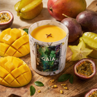 Symphonie Fruitée - Harmonie de Mangue et Chœur de Fruit