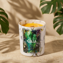 Symphonie Fruitée - Harmonie de Mangue et Chœur de Fruit