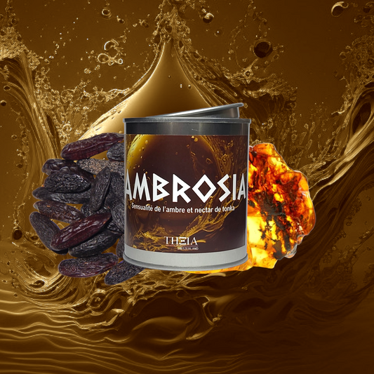 Ambrosia - Sensuality of amber and tonka nectar